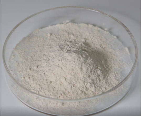 Pancreatin —Pancreatic digestive enzyme API