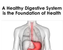 The most important two digestive enzymes in human body