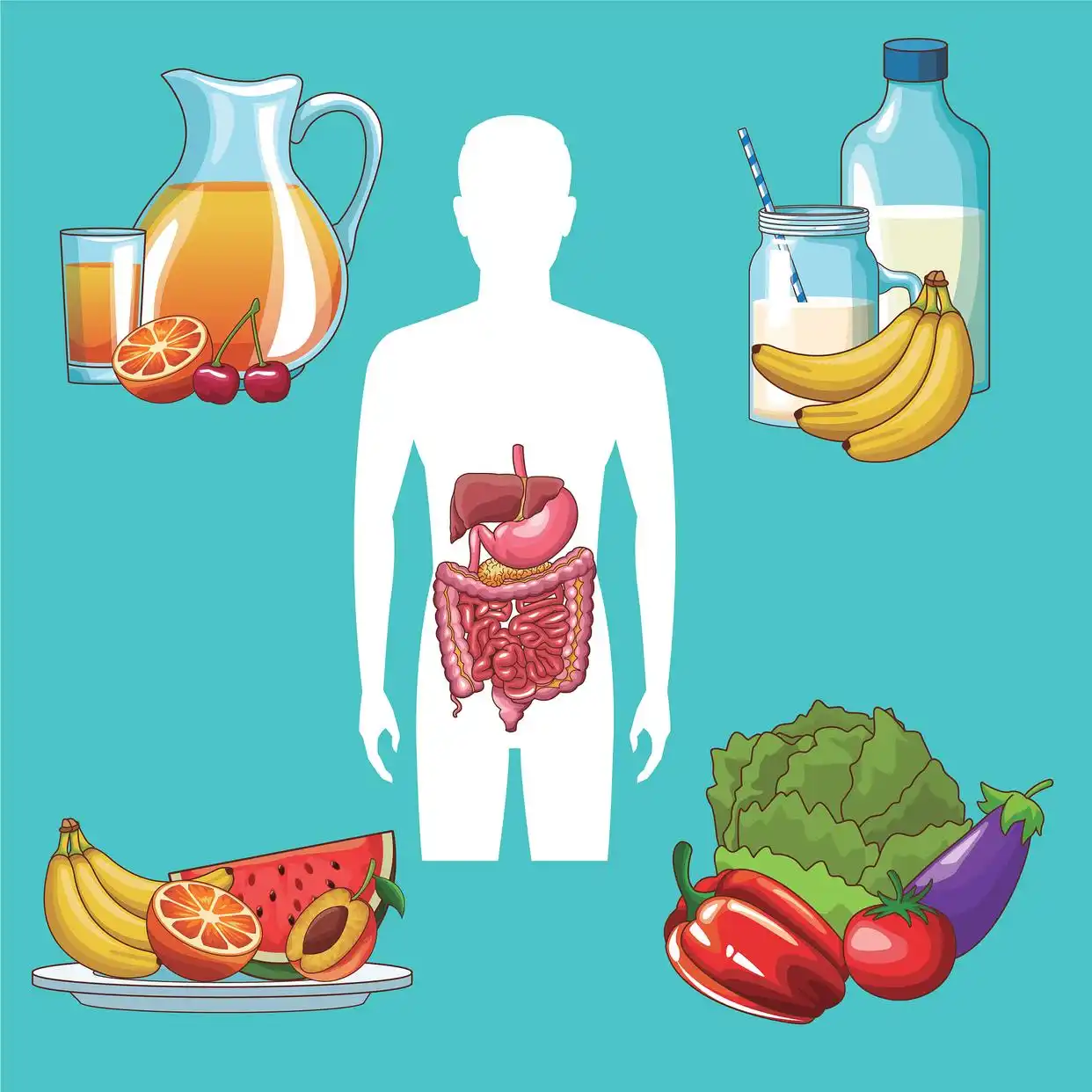 Why don't enzymes digest the body's own stomach and intestine?