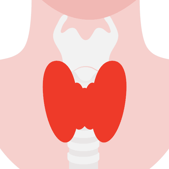 How is hypothyroidism diagnosed and treated?