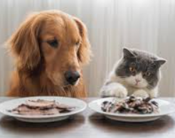 What are the additives in pet food?